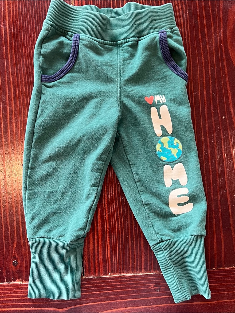 Patagonia Kids Teal Green Graphic Joggers with Navy Trim